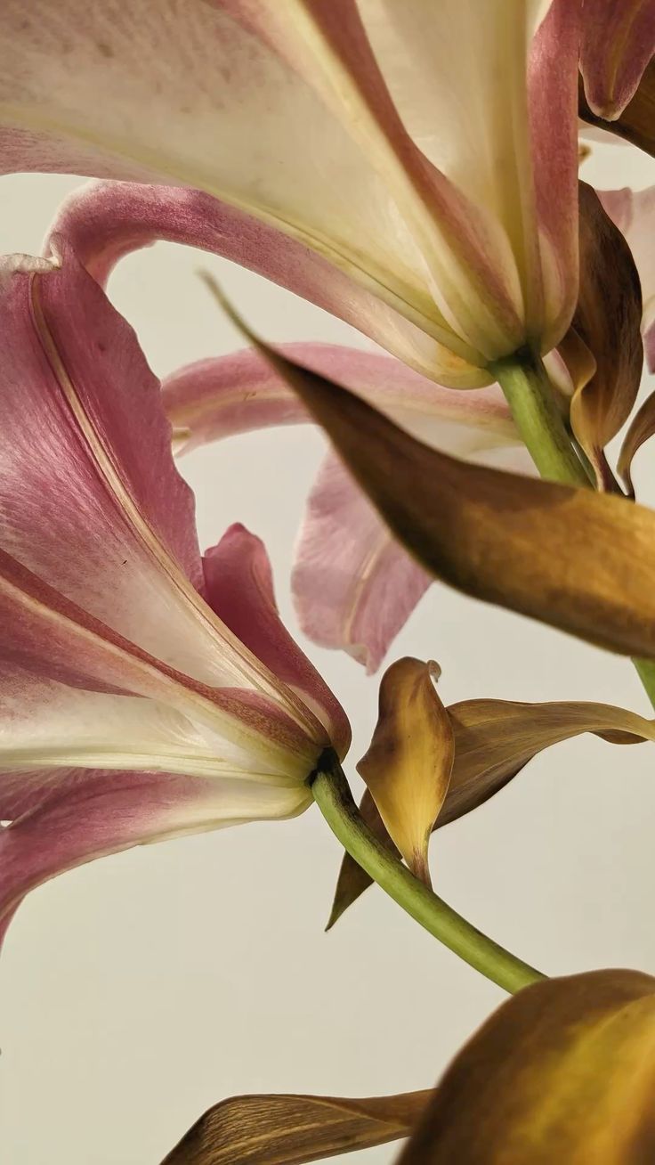 Community collaboration